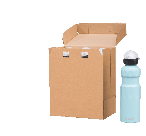 Sigg 2 c